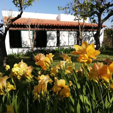 Tatil Evi Limon Y Sol