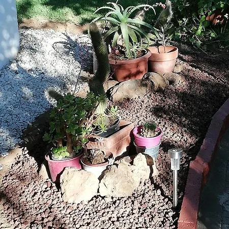 Tatil Evi Limon Y Sol