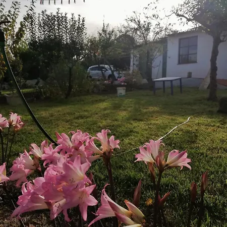 Tatil Evi Limon Y Sol El Sauzal