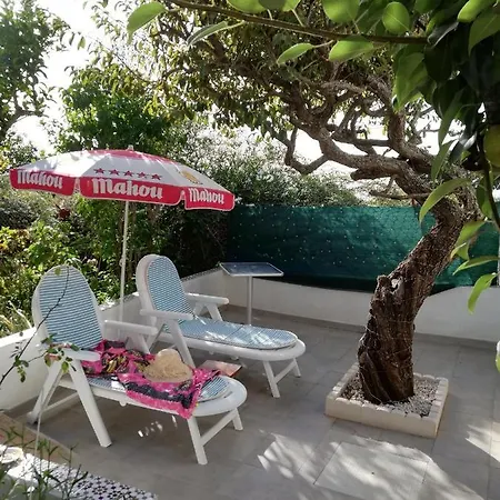 Limon Y Sol El Sauzal