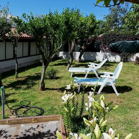 Tatil Evi Limon Y Sol El Sauzal