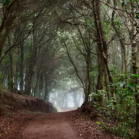 Limon Y Sol Tatil Evi *