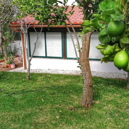 Limon Y Sol 別荘 サウサル