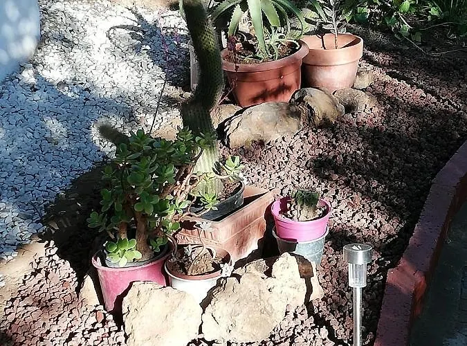 Nyaraló Limon Y Sol