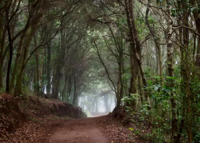 Limon Y Sol Nyaraló *
