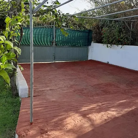 Limon Y Sol El Sauzal