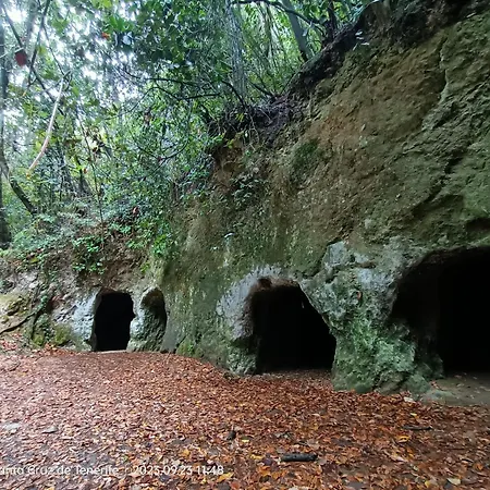 Limon Y Sol Tatil Evi El Sauzal